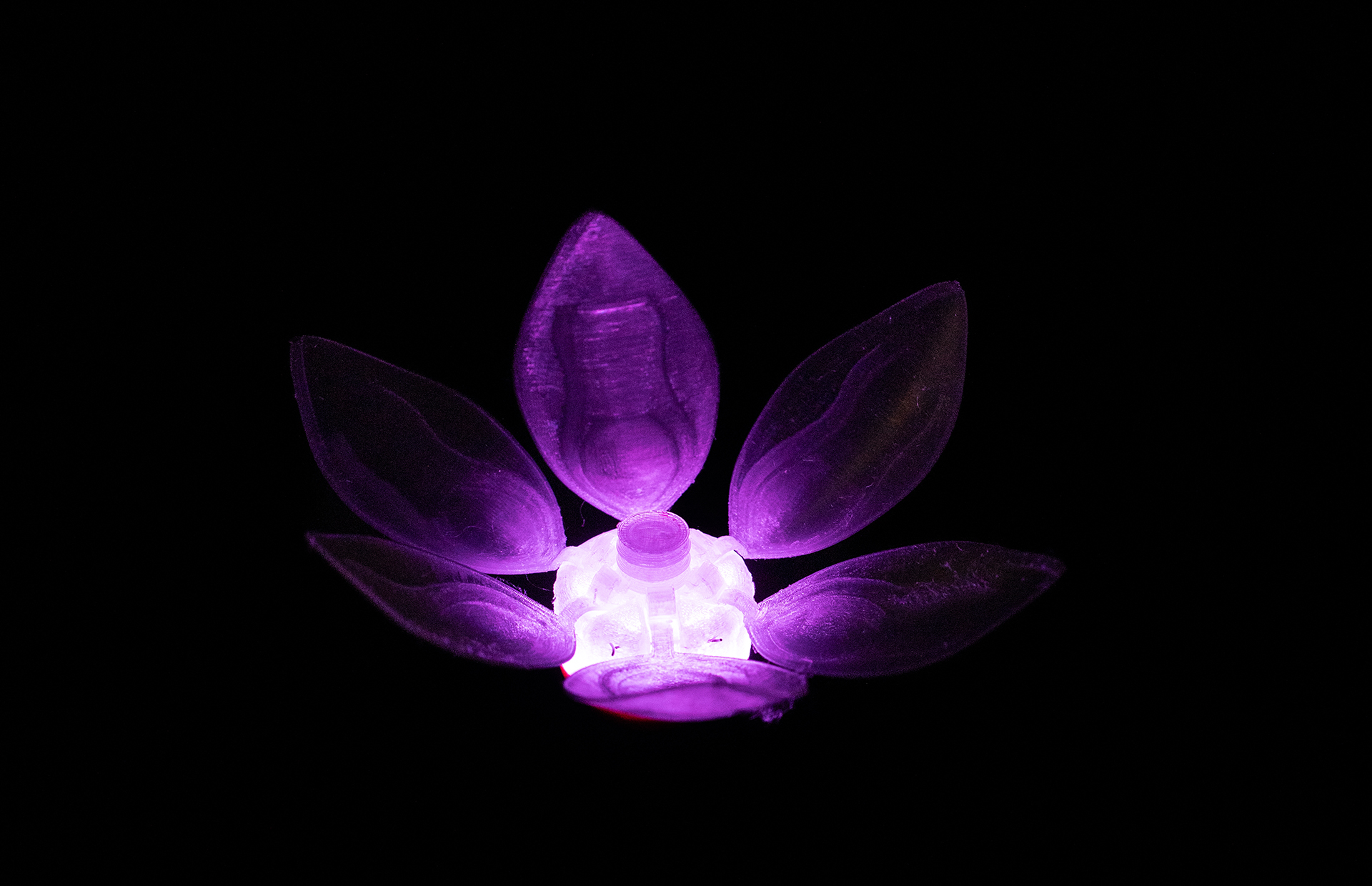 Eine lila leuchtende Roboterblume